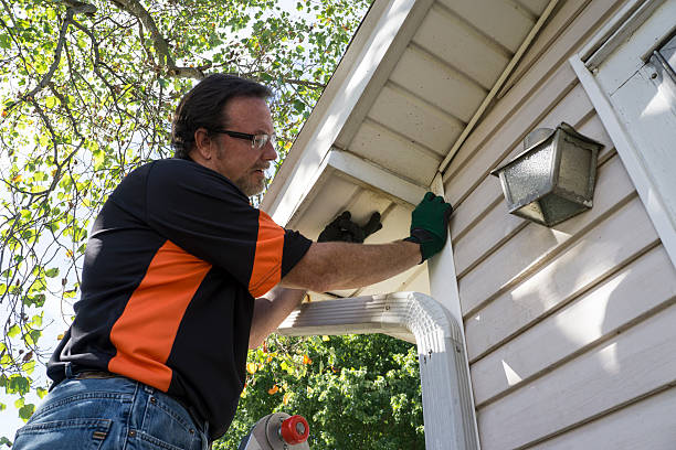 Best Yard Waste Removal  in Nes, IL